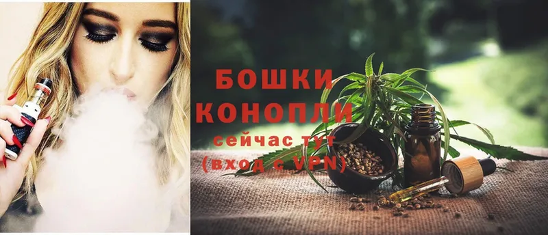 купить  цена  Новодвинск  Конопля OG Kush 